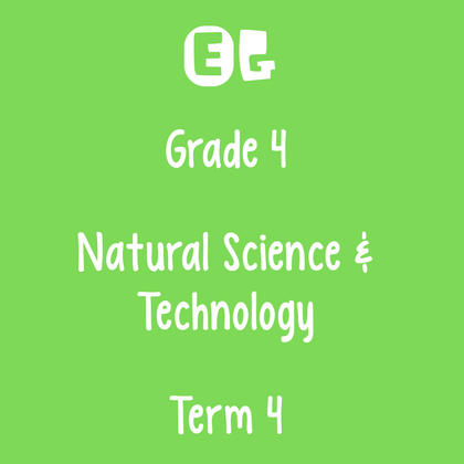 Grade 4 | Natural Science & Technology Test Paper | Term 4
